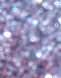 MultiStyler: 6-in-1 | Your Complete Hair Styling Toolkit